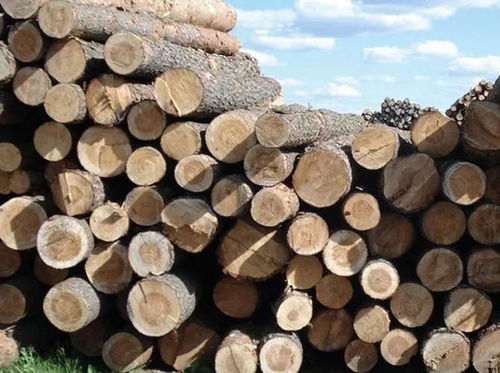 建筑热潮导致木材短缺,西澳政府被吁取消木材产量限制