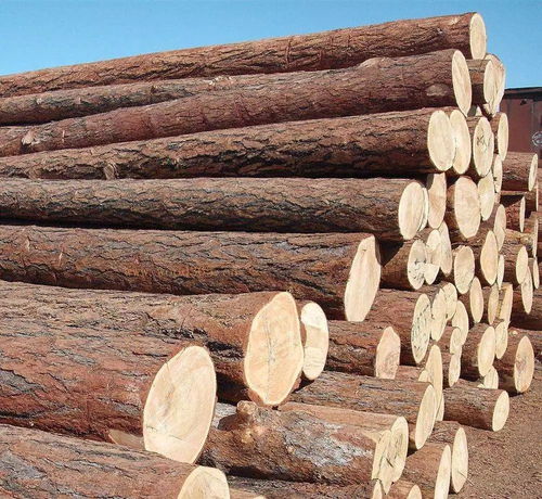 世界木材资源供不应求 板材涨价不可避免